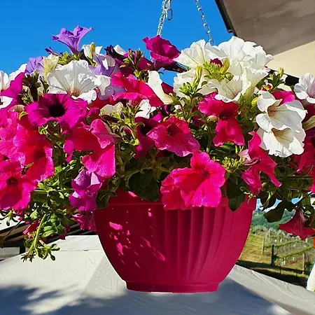 Bed & Breakfast Piazza 31 Dogliani